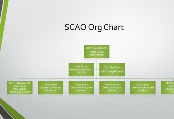 Org Chart for the SCAO