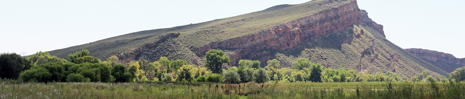 Larimer County banner image