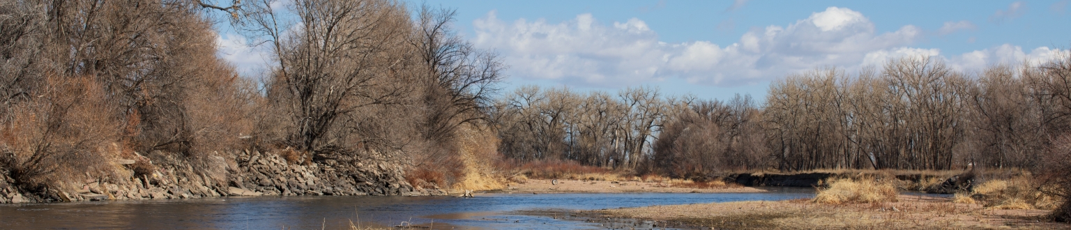 Weld County banner image