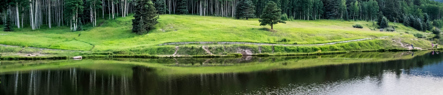 Stand of trees by body of water for Colorado banner image